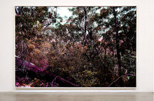 Load image into Gallery viewer, Bush Dreaming #02