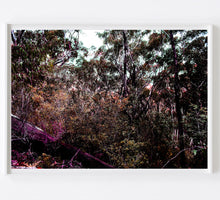Load image into Gallery viewer, Bush Dreaming #02
