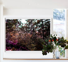 Load image into Gallery viewer, Bush Dreaming #02