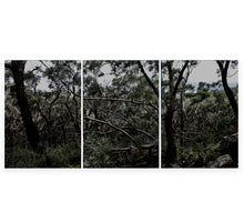 Load image into Gallery viewer, Bush Dreaming - Landscape