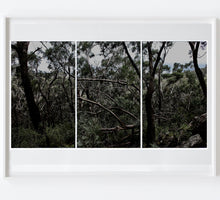 Load image into Gallery viewer, Bush Dreaming - Landscape