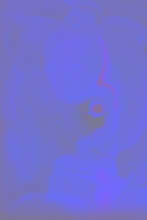 Load image into Gallery viewer, Mauve Blush