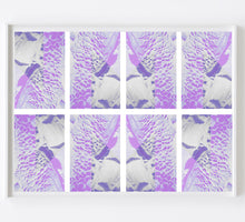 Load image into Gallery viewer, Tribal Luxe Purple Mask
