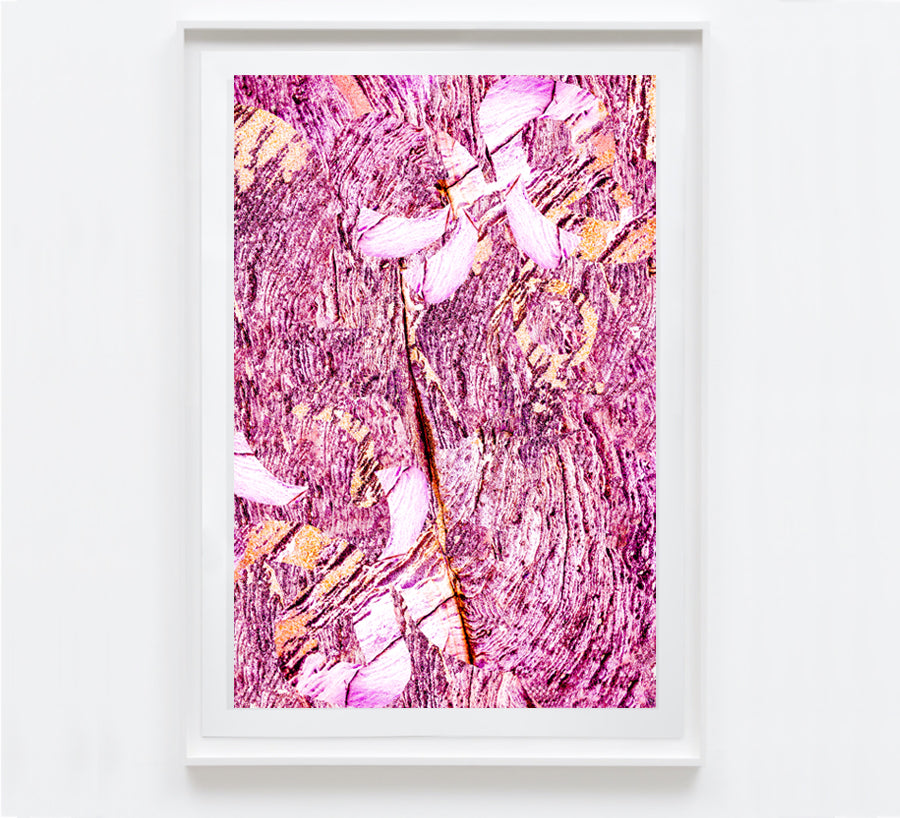 Abstract Luxe, Magenta Lake