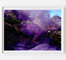 Load image into Gallery viewer, Bush Dreaming - Purple Land
